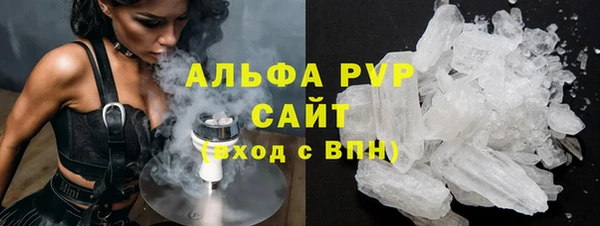 a pvp Бородино
