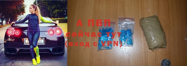 тгк Богданович
