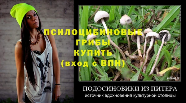 тгк Богданович
