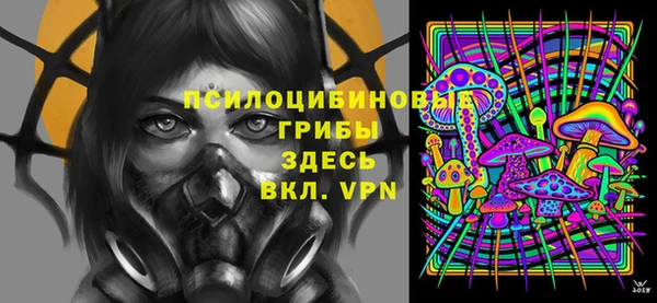 тгк Богданович