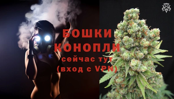 a pvp Бородино